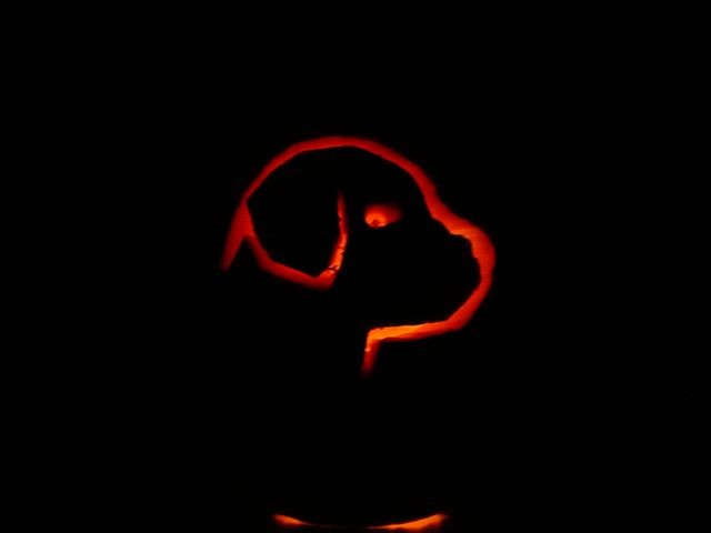 Abby's Pumpkin 3.JPG